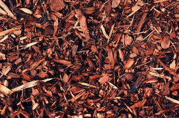 close up of barking mulch for gardening - 316569139