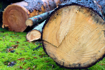The sawn and chopped wood, folded next to the wall. preparation of wood for the fireplace. wood storage for winter. firewood of round and triangular shape