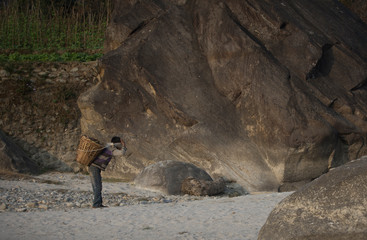 People working on the moustard fields in Langtang valley, Nepal