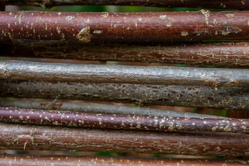 Close up of a variety of bark and timber