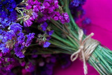 Bouquet of purple of dry flowers on bright pink background.