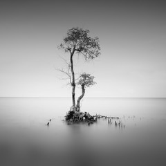long exposure photography