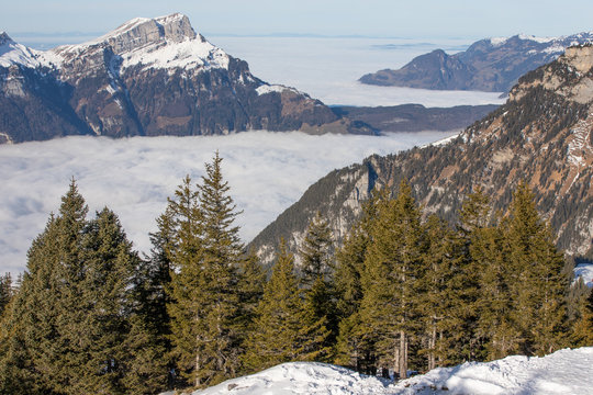 Eggberge Bilder Durchsuchen 119 Archivfotos, und