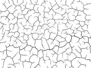 The cracks texture white and black. Vector background.Cracked earth. Structure of cracking. Cracks in dry surface soil texture. shards