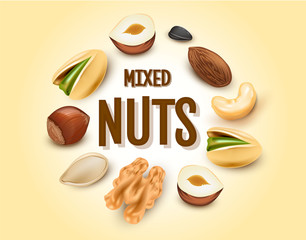 Mixed nuts. Wall stickers. 3d illustration