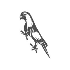 Parrot logo icon design vector illustration, Parrot logo template