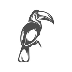 Parrot logo icon design vector illustration, Parrot logo template