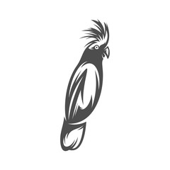 Parrot logo icon design vector illustration, Parrot logo template