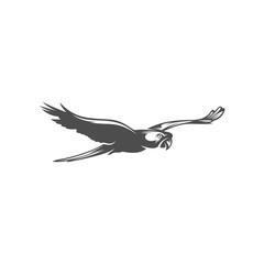 Parrot logo icon design vector illustration, Parrot logo template