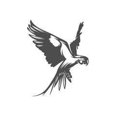 Parrot logo icon design vector illustration, Parrot logo template