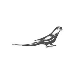 Parrot logo icon design vector illustration, Parrot logo template