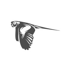 Parrot logo icon design vector illustration, Parrot logo template