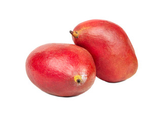 Two mango fruit