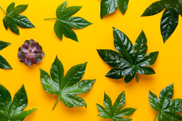 Obraz premium Green plant on the yellow background. Retro vintage style.