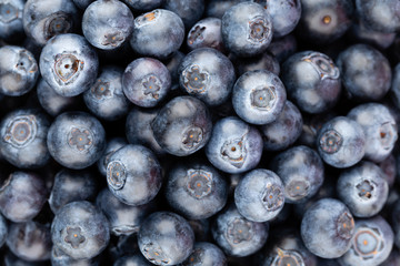 Fresh blueberry background. Texture blueberry berries close up.