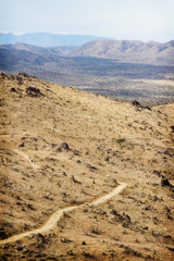 Hiking a trail in the desert