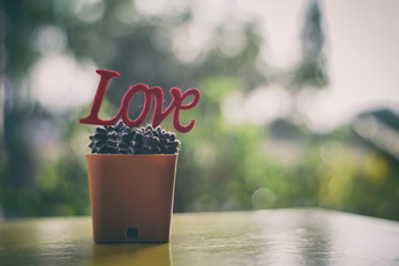 Cactus and love are on the yellow table with natural bokeh as the background