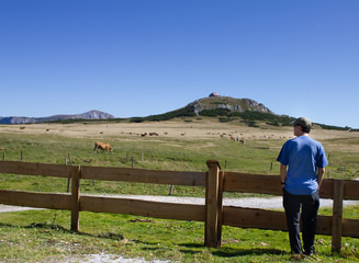 Fototapeta na wymiar Mann vor einem Holzzaun mit blauem Himmel und Weide voll Kühen