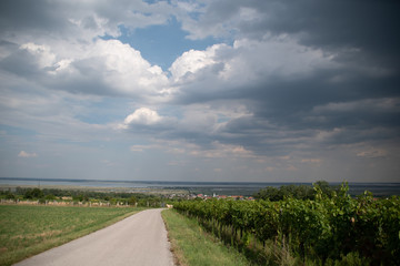 Neusiedler See