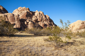 Rock formations in Joshua Tree National Park