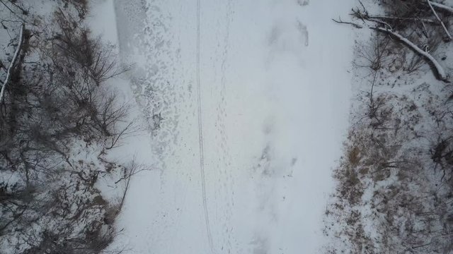 snowy forest in winter day, top view from drone