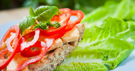 Toasted sandwich with cheddar cheese and sweet red pepper, decorated with fresh basil leaves.