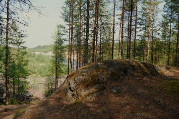 Mountain river valley panorama landscape. River valley in the mountains. View of the mountain river