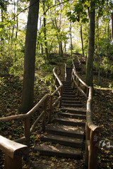 old stairs in the forest in germany in september, berlin humboldthain