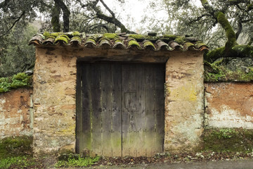 Old abandoned entrance door with moss due to moisture old stone and wood entrance to a private estate