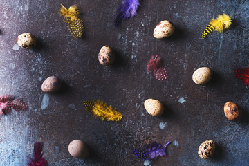 Easter dark flat lay concept with quail eggs pattern with color feather