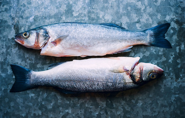 Two raw fresh sea bass seabass fish on a metal table organic food 