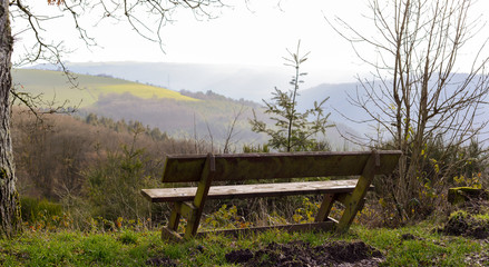 bench in nature with beautiful view