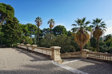 Beautiful garden in Barcelona inside a Palace enclosue. Palm trees on blue sky at sunlight