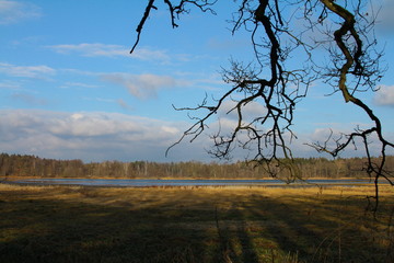 Oberpfälzer weiher