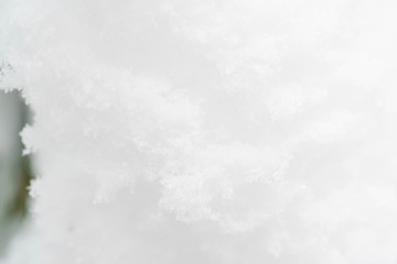 Snowflakes gathered togeder on a branch tree photographed  up close