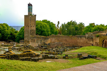 Fototapeta na wymiar Ruins of the Roman city known as Sala Colonia and the Islamic complex of Chellah, mosque and minaret ruined.