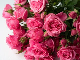 rose bouquet in bright pink color close up
