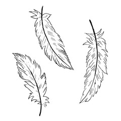 Set macro bird feathers, Objects isolated on white, vector black on white illustration.