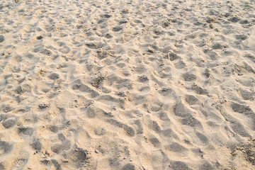 footprints in the sand
