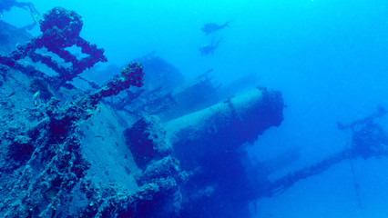 Eagle Wreck, Florida Keys
