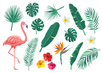 Tropical leaves, flowers vector illustration set. Cartoon flat element with monstera, hibiscus, frangipani, flamingo, strelitzia, banana, palm leaf. Exotic print design isolated on white background - obrazy, fototapety, plakaty
