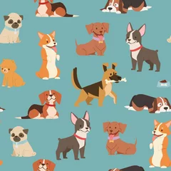 Keuken foto achterwand Honden Honden en puppy& 39 s verschillende rassen inpakpapier met husky, bulldog, schnuzer, spaniel vector naadloze patroon illustratie. Cartoon huisdieren honden achtergrond.