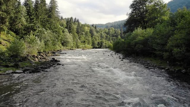 Rapid river is flowing bewtween the stones in Carpathian mountains. Beautiful nature landscape.