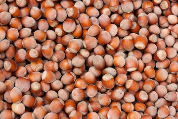 stack of hazelnuts background filbert