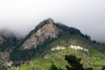 Niebla en la montaña