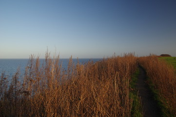 Fototapeta premium Wanderweg an boltenhagens Steilküste