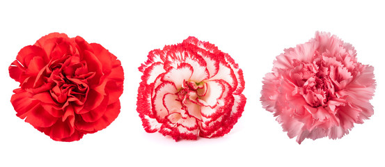   Carnations mix