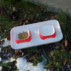 Feeding animals in winter