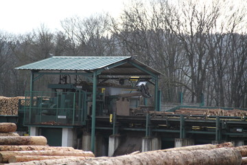 Fototapeta na wymiar Log yard of a logging sawmill