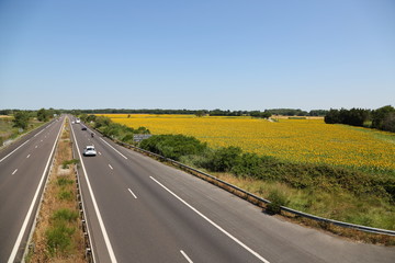 Sunfower Field and highway  at Provence France